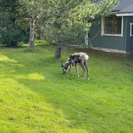 Apartment Talvijaerven Kuura *