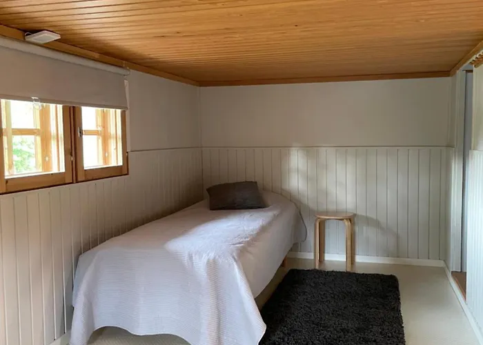 Talvijaerven Kuura * روكا