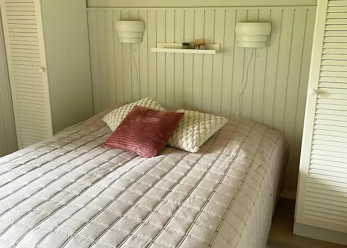 Talvijaerven Kuura * روكا